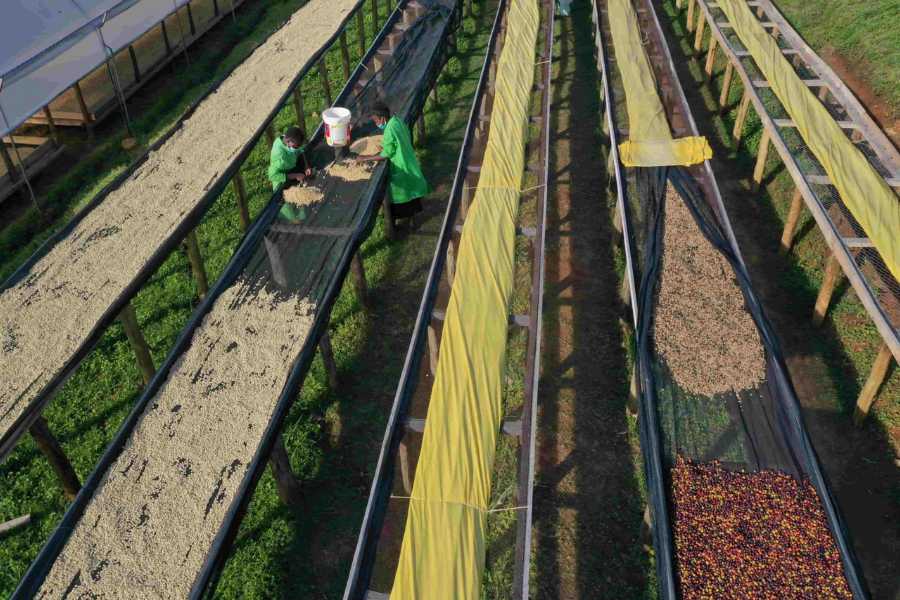 Станция обработки кофе