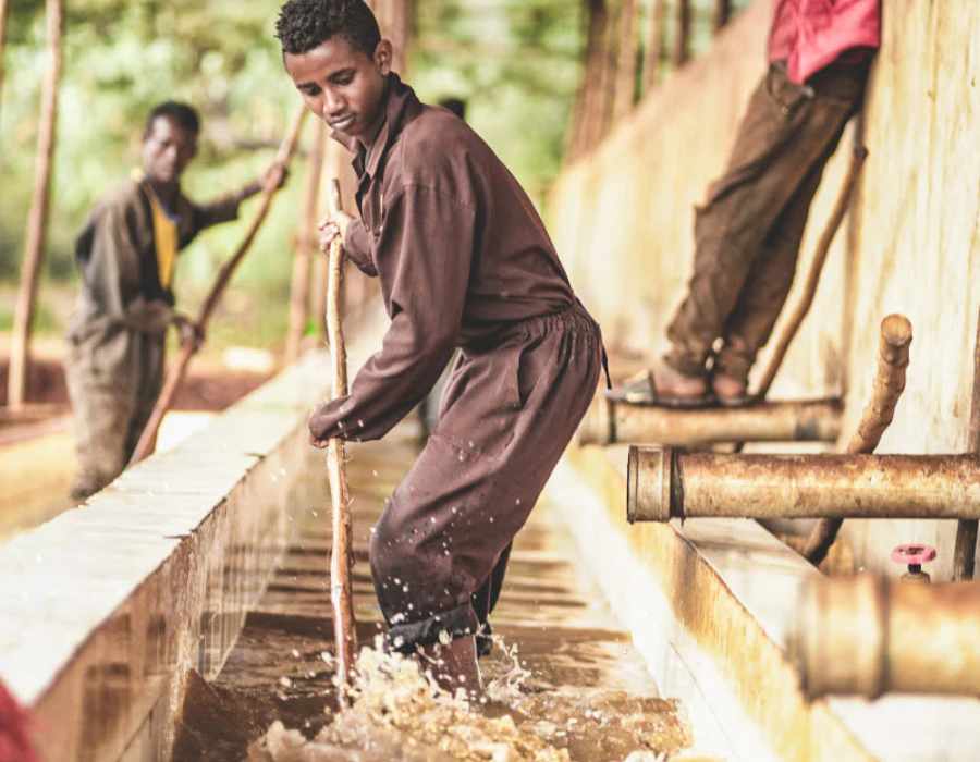 кофе Иргачефф 